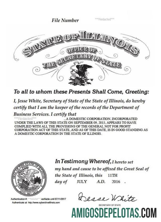 USA Illinois Certificate Of Good Standing modelo